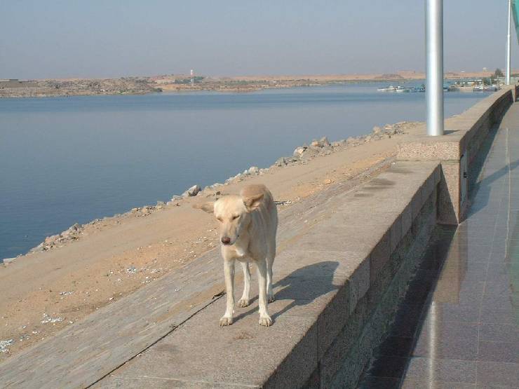 klik hier voor de originele foto (110kB - 1280x960)