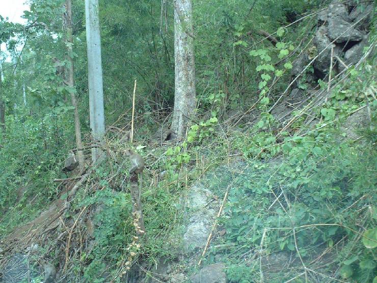 klik hier voor de originele foto (267kB - 1280x960)