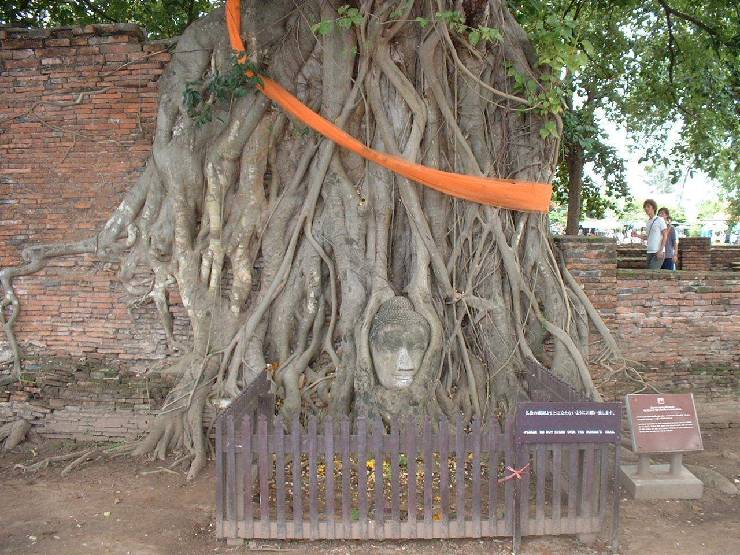 klik hier voor de originele foto (235kB - 1280x960)