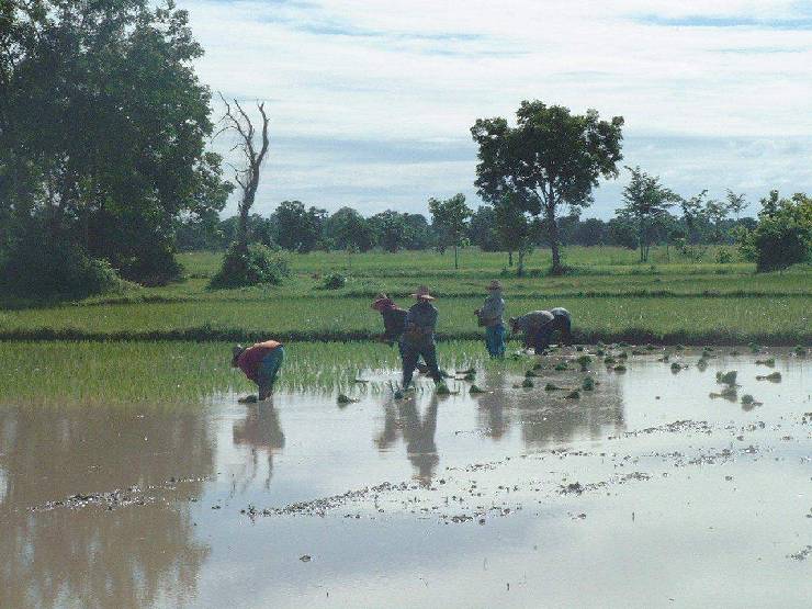 klik hier voor de originele foto (200kB - 1280x960)