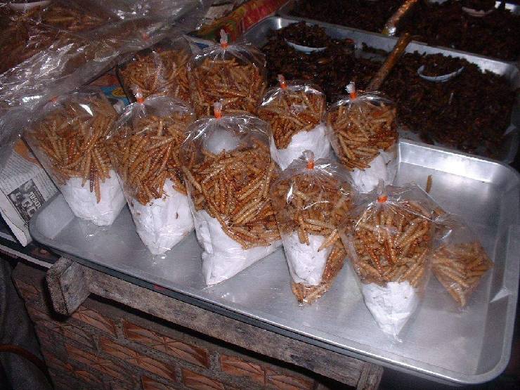 klik hier voor de originele foto (210kB - 1280x960)