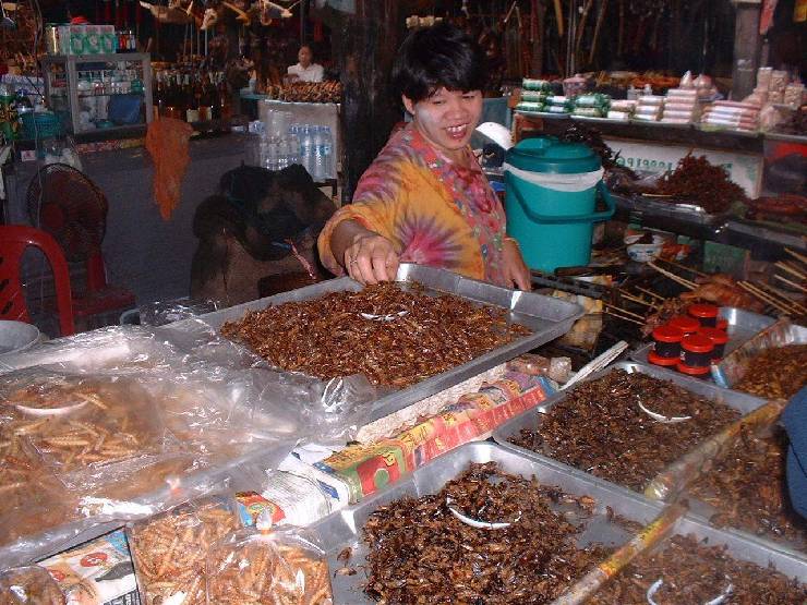 klik hier voor de originele foto (224kB - 1280x960)