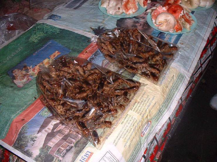 klik hier voor de originele foto (219kB - 1280x960)