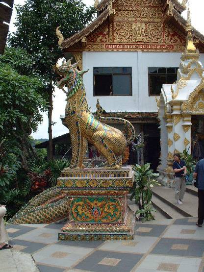 klik hier voor de originele foto (233kB - 960x1280)