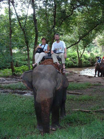 klik hier voor de originele foto (260kB - 960x1280)