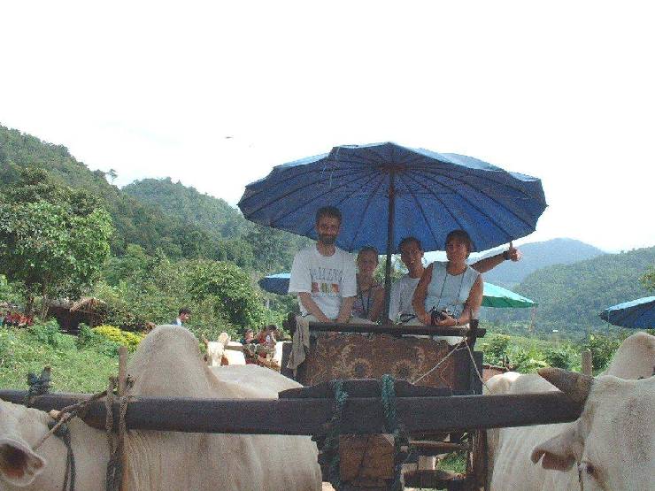 klik hier voor de originele foto (181kB - 1280x960)