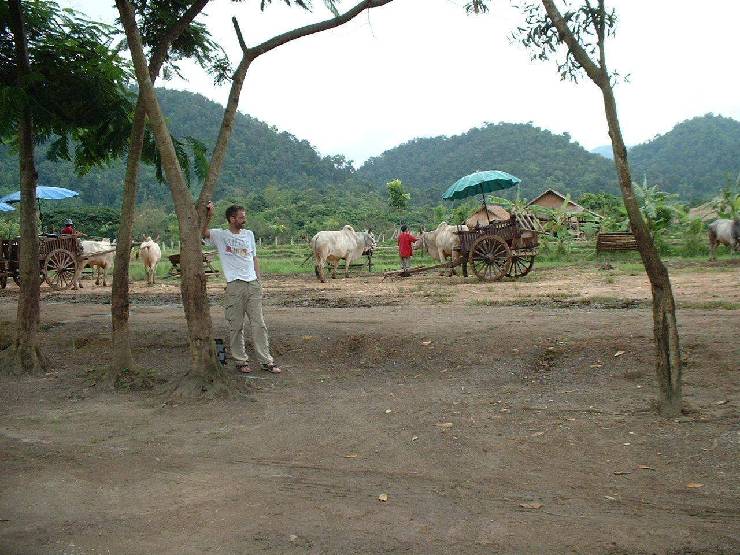 klik hier voor de originele foto (218kB - 1280x960)