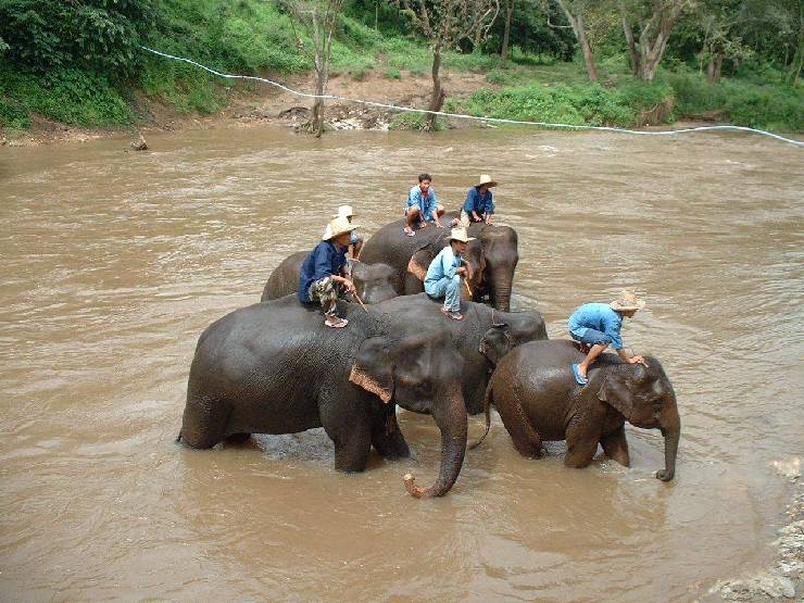 klik hier voor de originele foto (220kB - 1280x960)