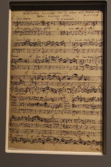 klik hier voor de originele foto (555kB - 1280x1920)