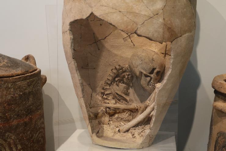 klik hier voor de originele foto (370kB - 1920x1280)