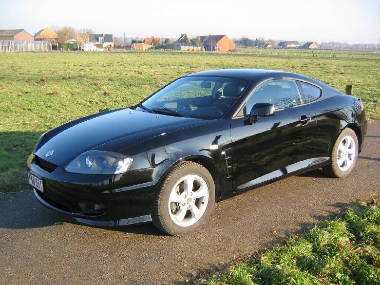 klik hier voor de originele foto (564kB - 1600x1200)